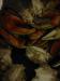 119-1964_IMG