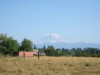 2006_08060049