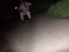 2006_08060084