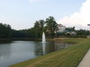 2006_09010477