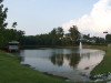 2006_09010478