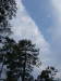 2006_09020383